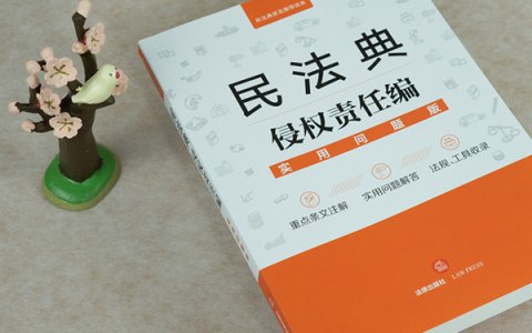 最高人民法院关于适用《中华人民共和国民法典》侵权责任编的解释（一）